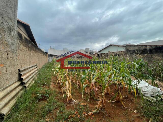 #TR1GRD - Terreno para Venda em Uberlândia - MG